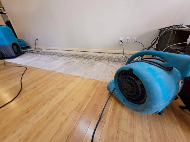 Professional Emergency Water Damage technician working in Fort Worth, TX